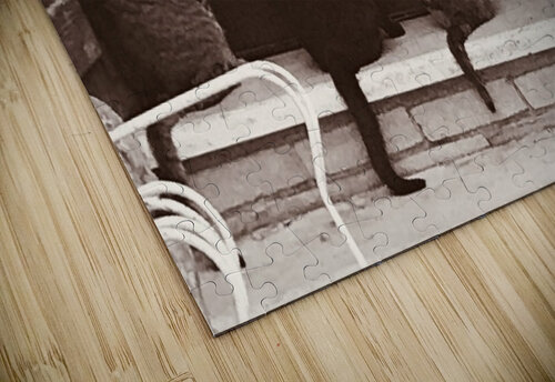 Four cats PIE puzzle