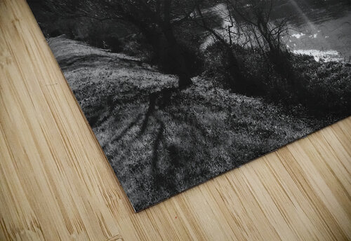 Midday river PIE puzzle