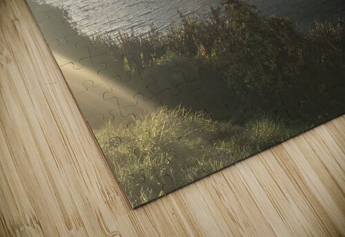 River and trees PIE puzzle