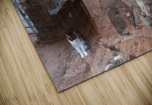 Window reflections PIE puzzle