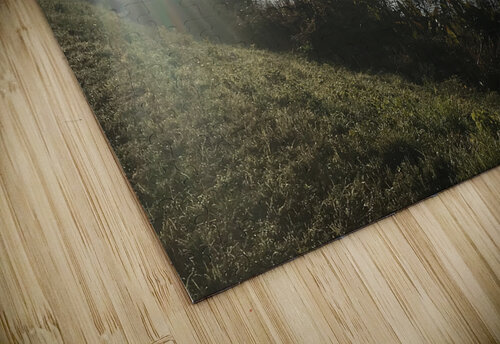 River meets Sun PIE puzzle