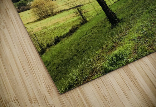 Country view 2 PIE puzzle