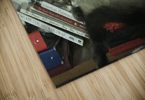  Just sleep on it PIE puzzle