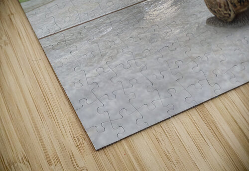 Dancing in the rain PIE puzzle