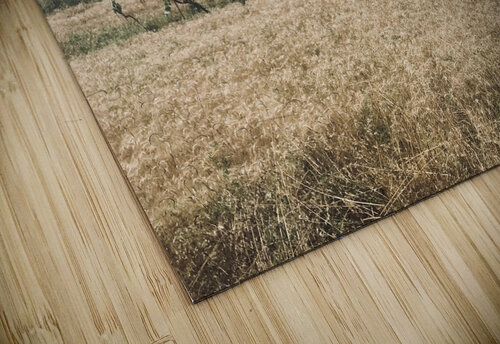 Country views PIE puzzle
