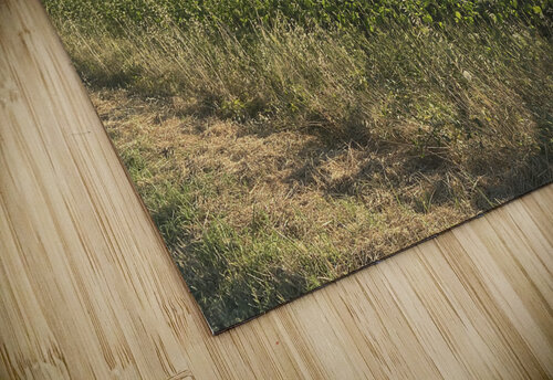 Street frame PIE puzzle