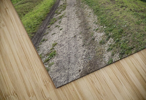 Strolling by a river PIE puzzle