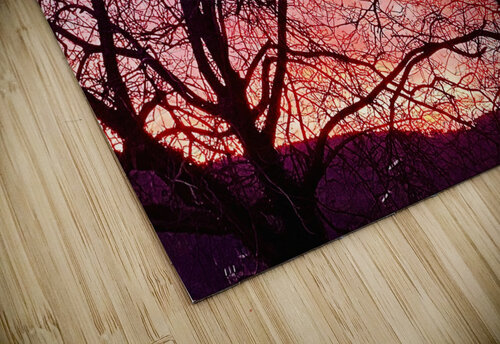 Sunset and branches PIE puzzle