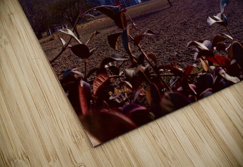 Valley hues PIE puzzle