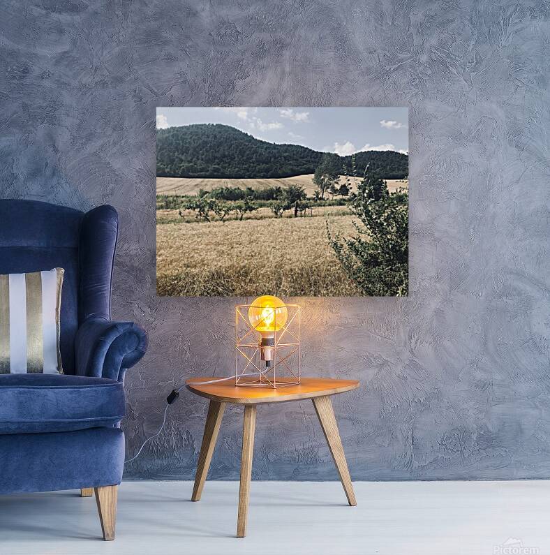 Country views Reproduction