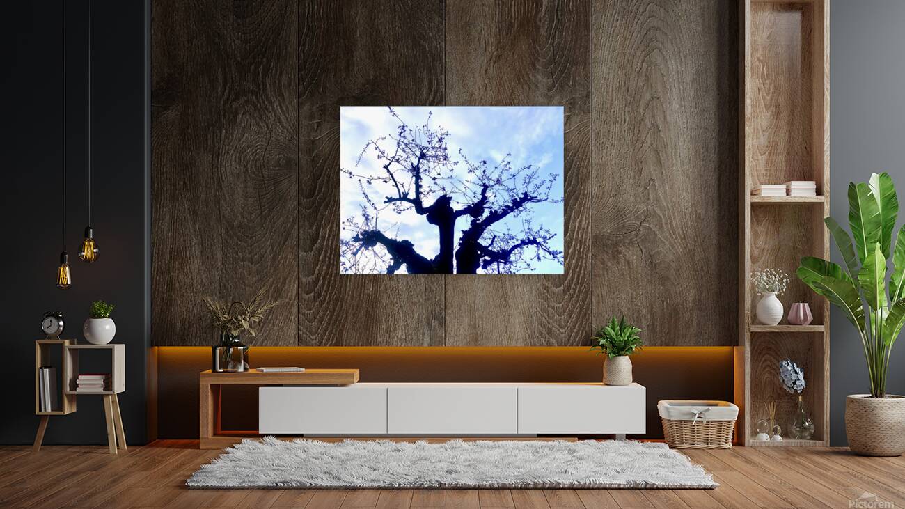 Rebirth 2 Reproduction
