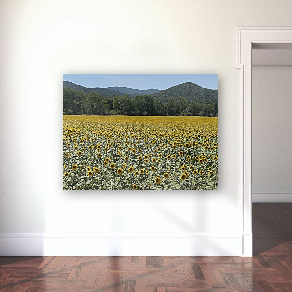 Sunflowerland  Reproduction