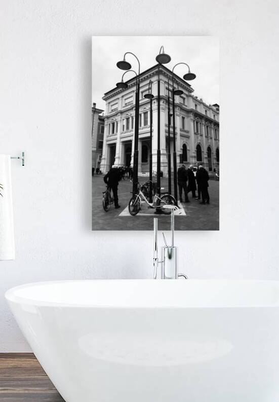 Sheer elegance Reproduction