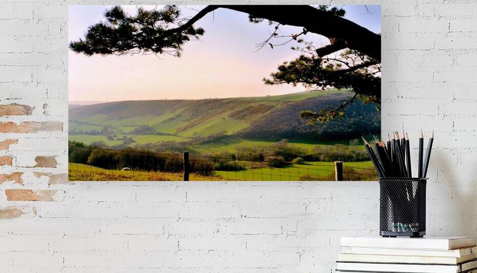 Welsh countryside near Aberystwyth by PIE