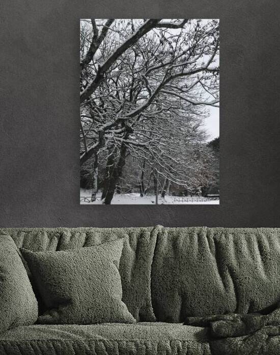 Winterland at the park by PIE
