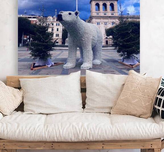 City bear Reproduction