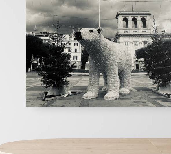 City bear noir Reproduction