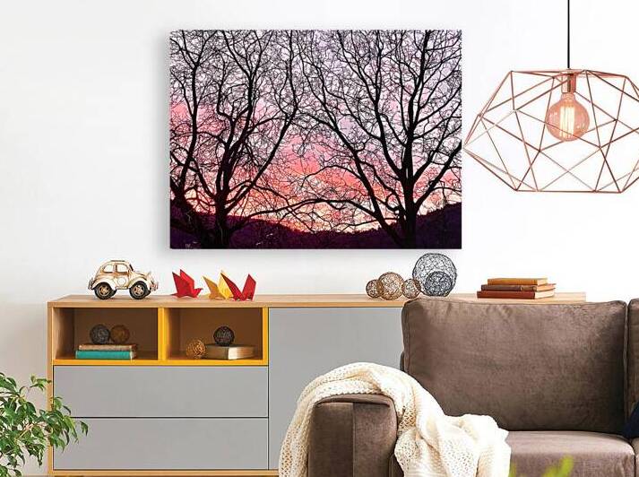Sunset and branches Reproduction