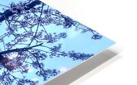 Rebirth 1 HD Metal print