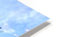 Rebirth 2 HD Metal print