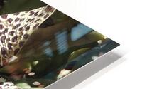 Prestige HD Metal print