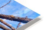 Reach the sky HD Metal print