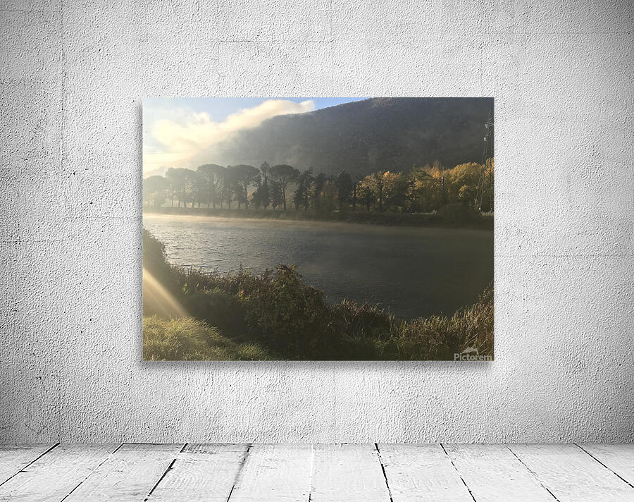 River and trees Wall Preview