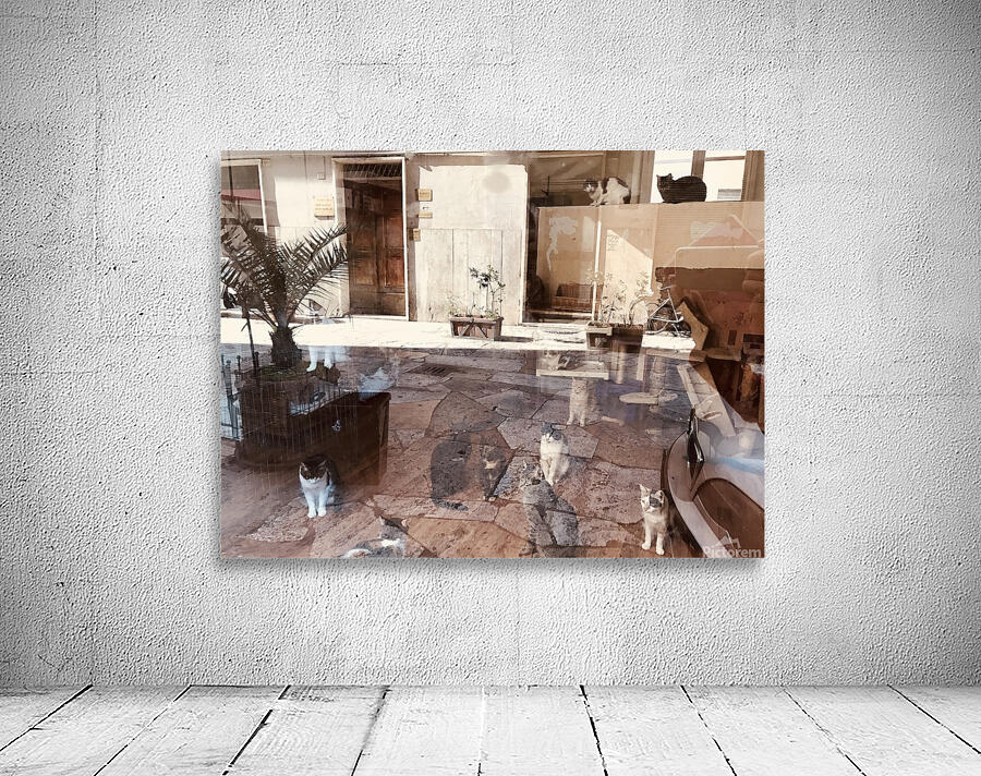 Window reflections Wall Preview