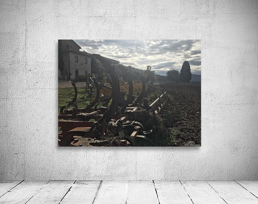 Old plows Wall Preview