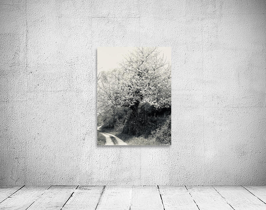 Spring Wall Preview