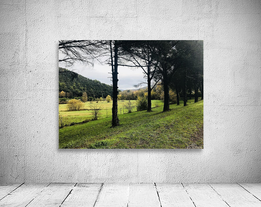 Country view 2 Wall Preview
