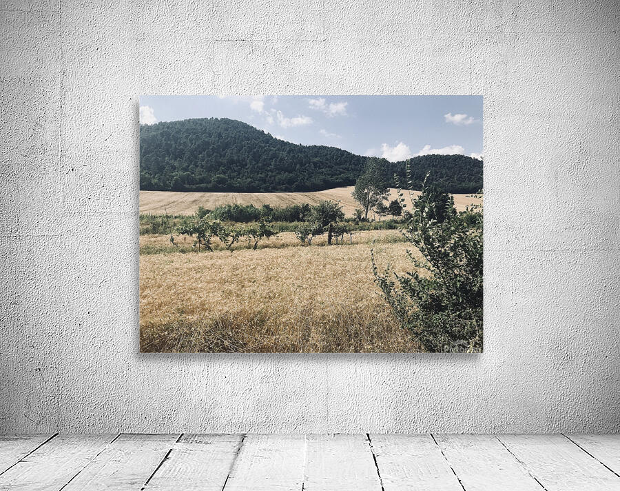 Country views Wall Preview