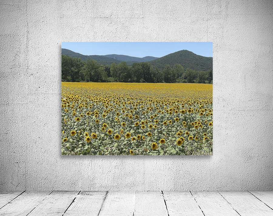 Sunflowerland  Wall Preview