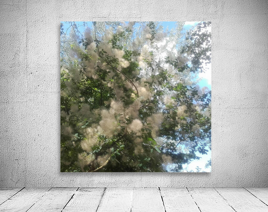 Spring cotton-like bush flowers Wall Preview