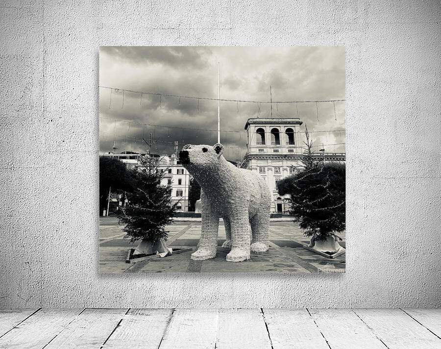 City bear noir Wall Preview