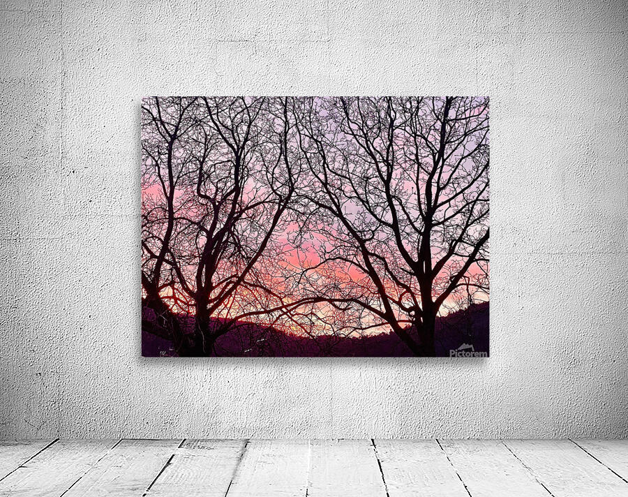 Sunset and branches Wall Preview