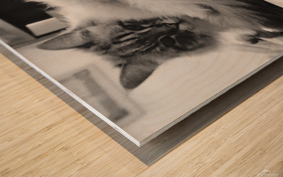 Cat and iron Wood print