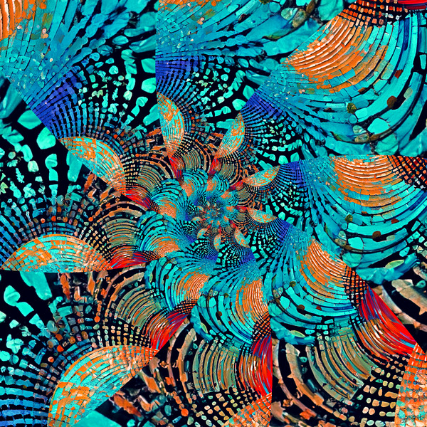 IMG 4284 Digital Download