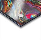 IMG 0667 Acrylic print