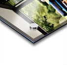 IMG 4221 Acrylic print