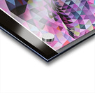 IMG 4231 Acrylic print