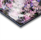 IMG 4299 Acrylic print