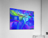 IMG 0302 Acrylic Print