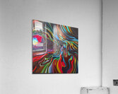 IMG 0667 Acrylic Print