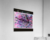 IMG 4231 Acrylic Print