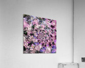 IMG 4299 Acrylic Print