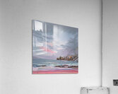 IMG 4322 Acrylic Print