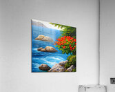 IMG 4371 Acrylic Print