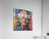 preview image  6403384316354351051 Acrylic Print