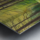 IMG 3962 Metal print